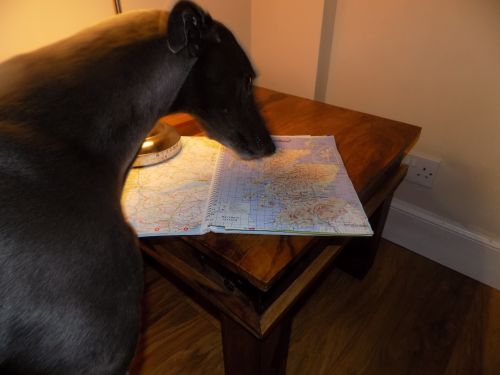 planning a trip with a map