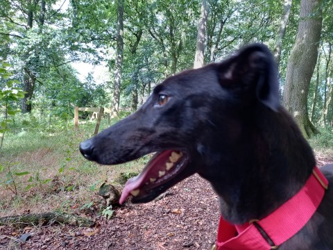Abbie 6