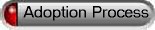 The adoption process.