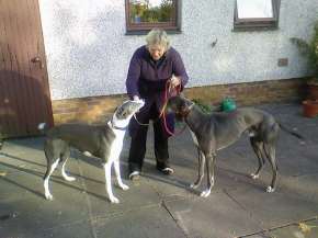 Angel and Murphy with Laura