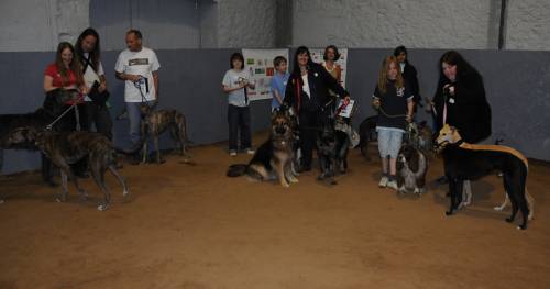 Best Family of Dogs