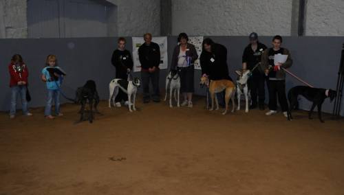 Best in Show Winners