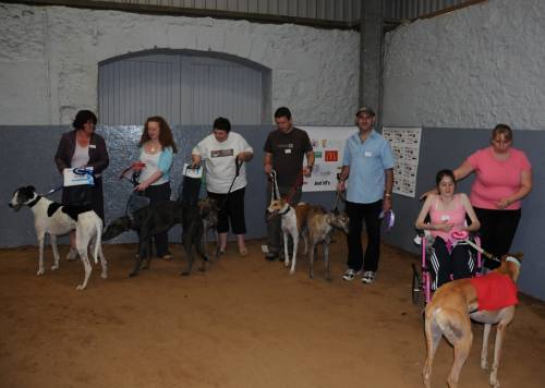 Best Male Greyhound