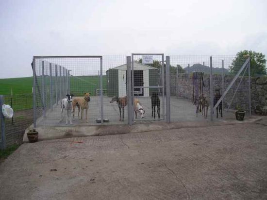 Our exercise compound
