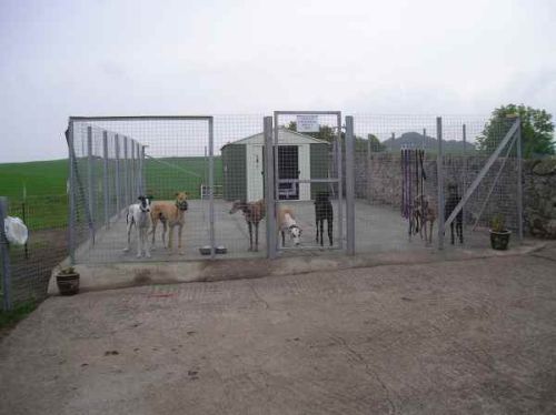 Our excercise compound