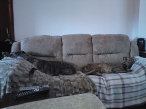 Jess and Floyd