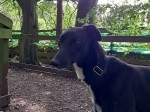 Freda