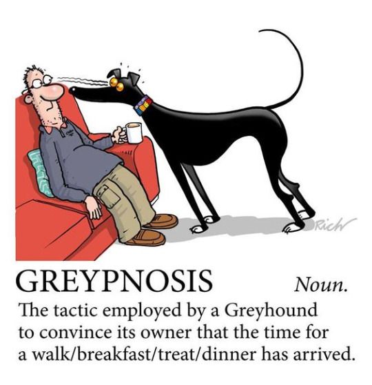 Greypnosis