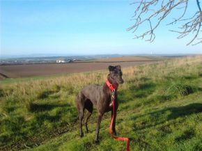 Ellie walking on the hills.