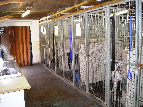 Inside Union Farm Kennels.