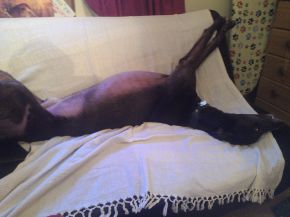 Johnny at home 3