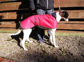 Red coat