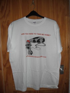 T Shirt 2