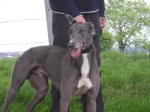 Zak